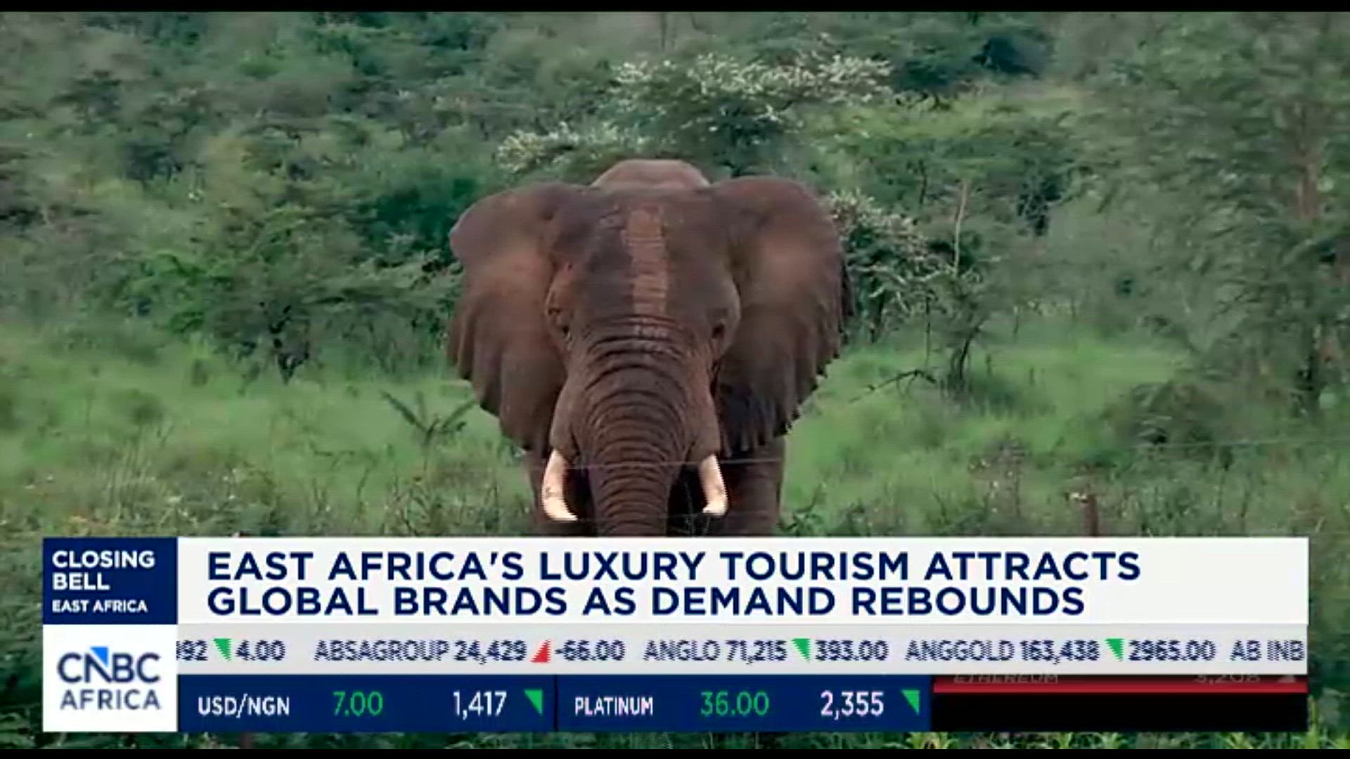 East Africa's luxury tourism attracts global brands as demand rebounds